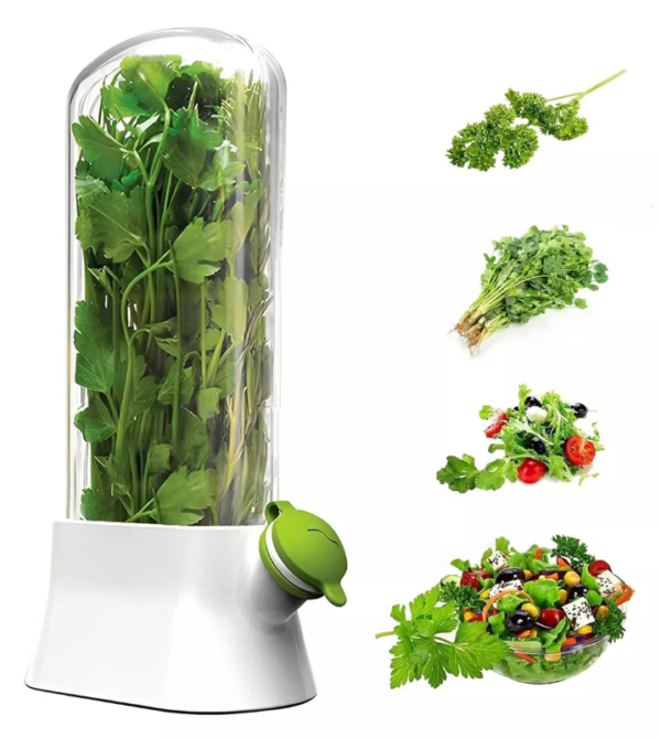 CONSERVADOR DE HIRBAS XC-4 – FRESCURA Y SABOR POR MAS TIEMPO🌿 - Image 4